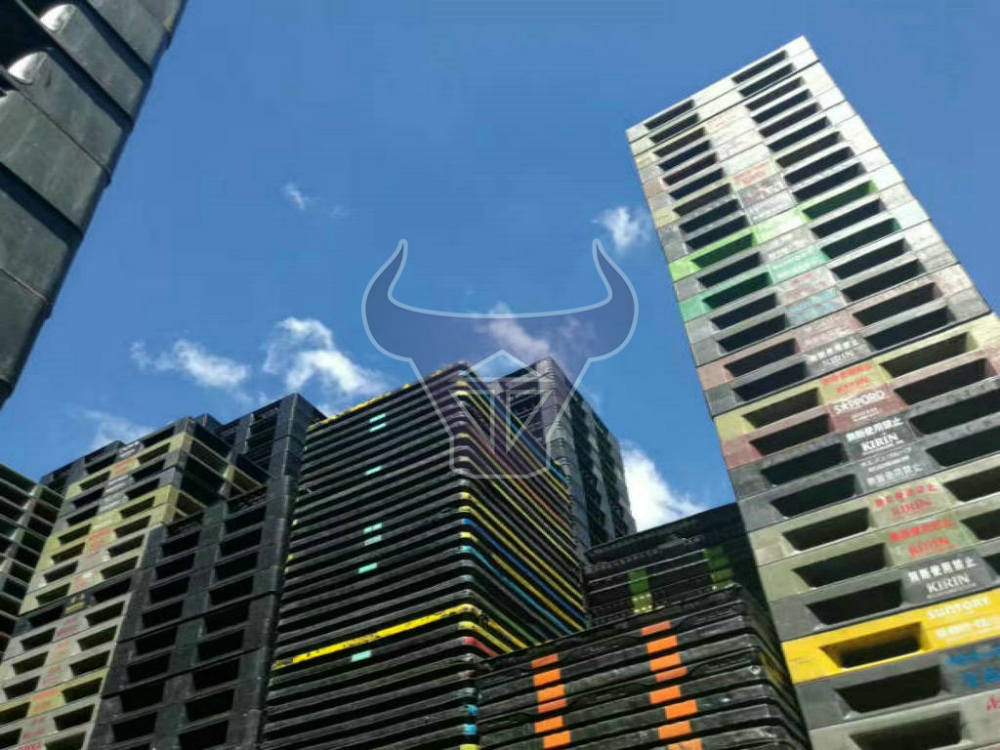 二手塑胶栈板，二手栈板，二手卡板批发转让，二手卡板销售